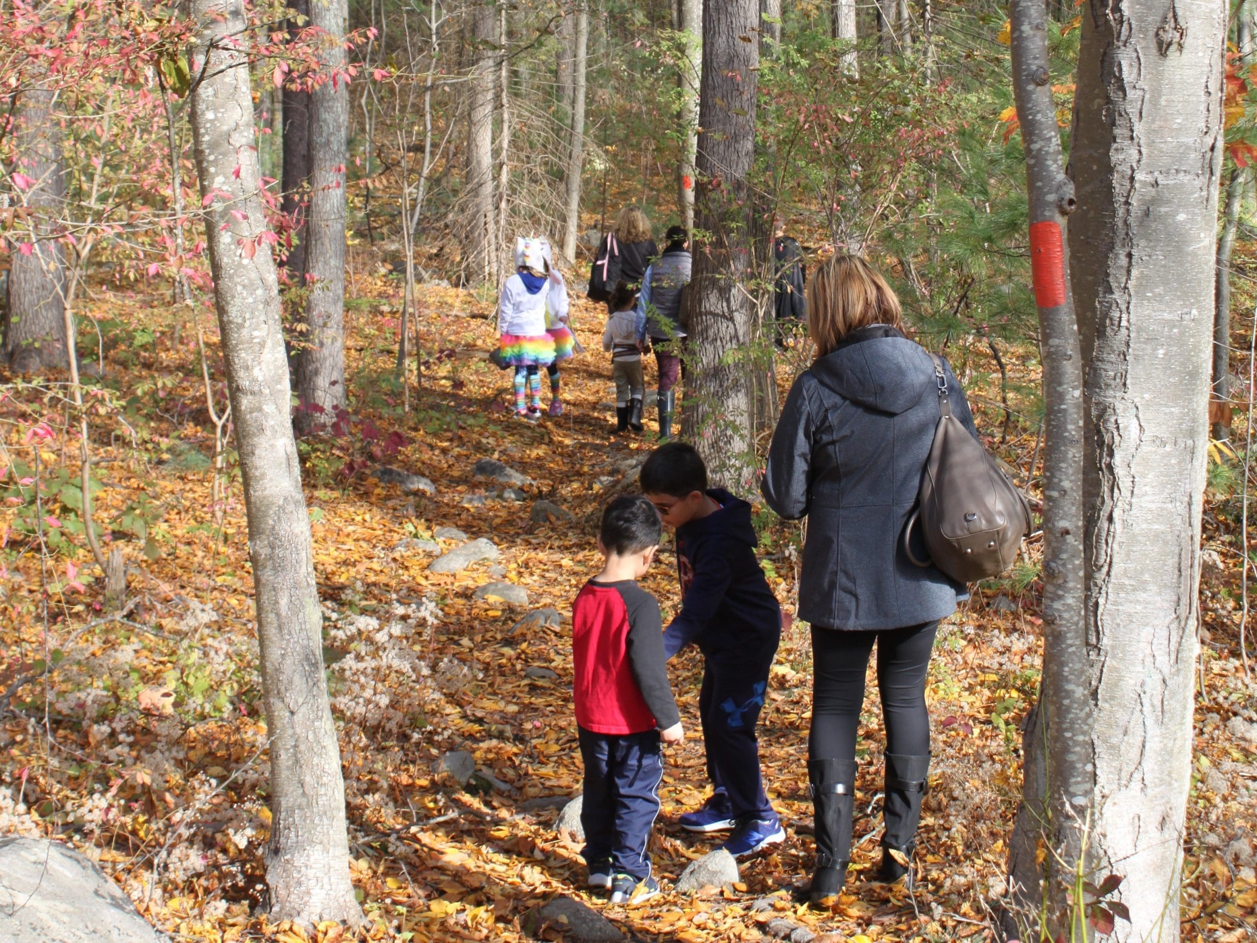 Halloween Trail Walk and Treasure Hunt