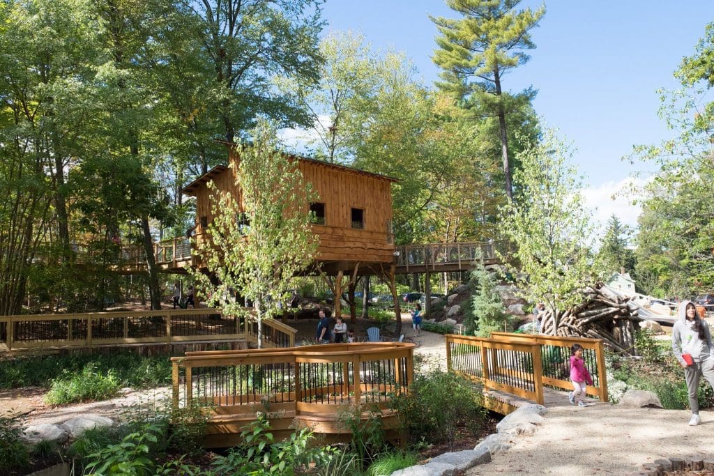 Discovery Museum Tree House