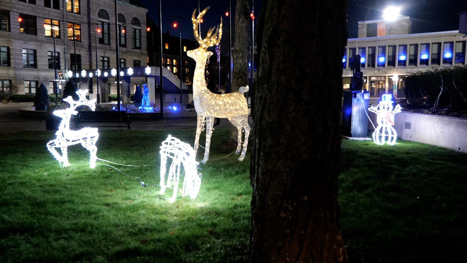 Holiday lights at Lowell City Hall