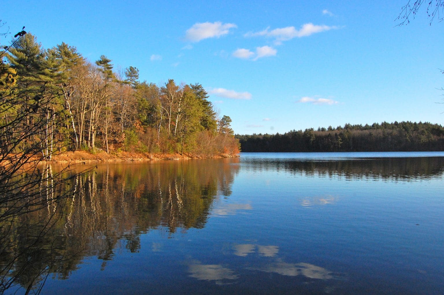 Walking around Walden Pond