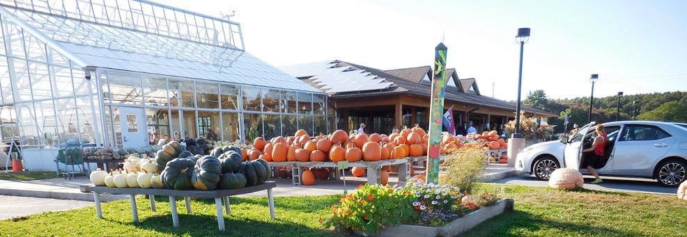 Verrill Farm: How to go field-to-fork