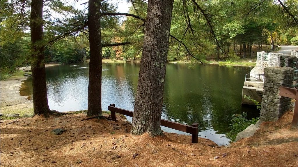Willard Brook State Park/Forest