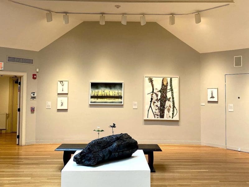 Concord Art Interior Photo of one of their galleries