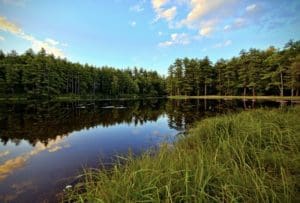 Photo of Pearl Hill Pond