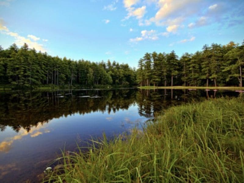 Photo of Pearl Hill Pond
