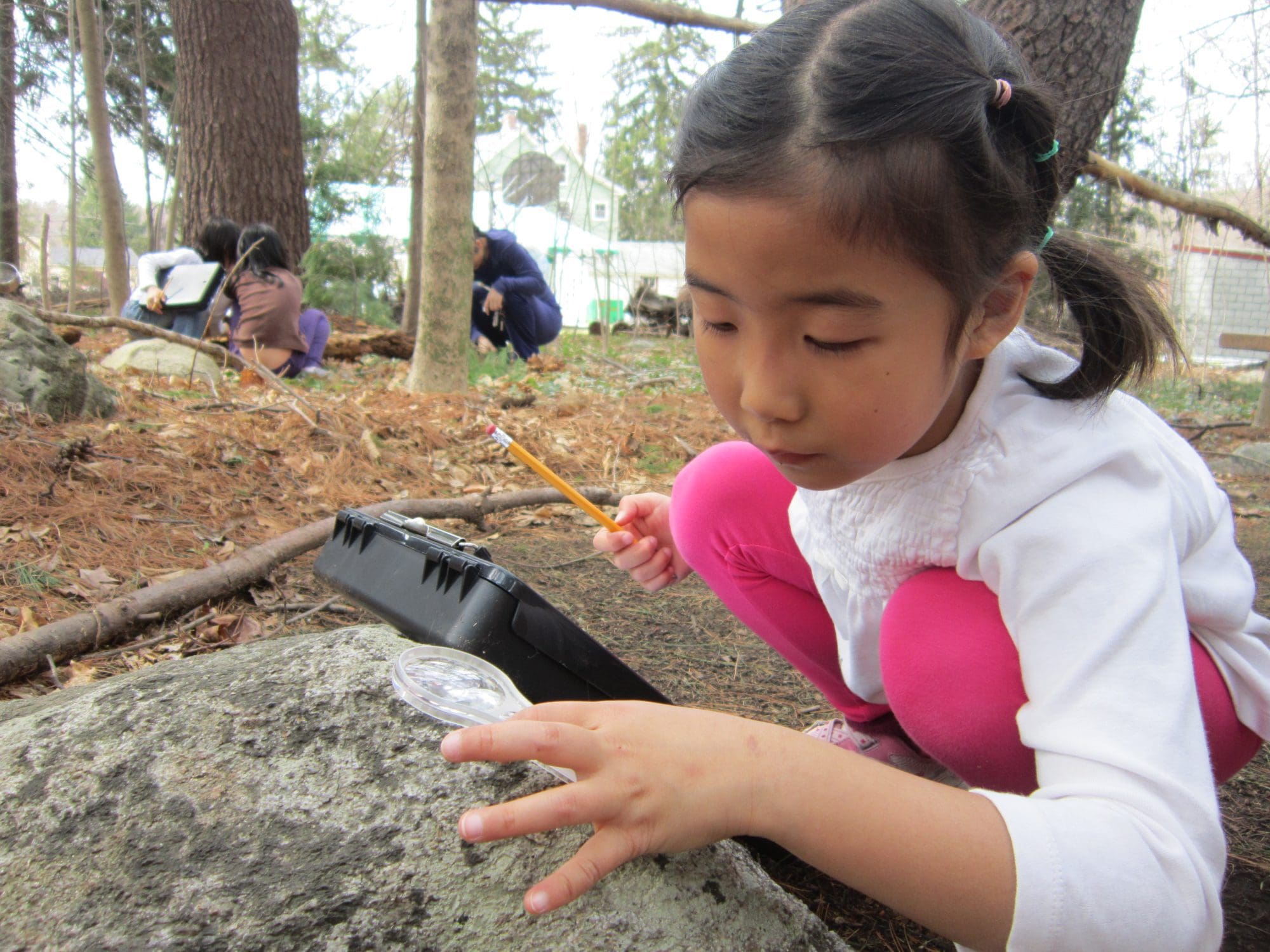 Merrimack for Nature Lovers