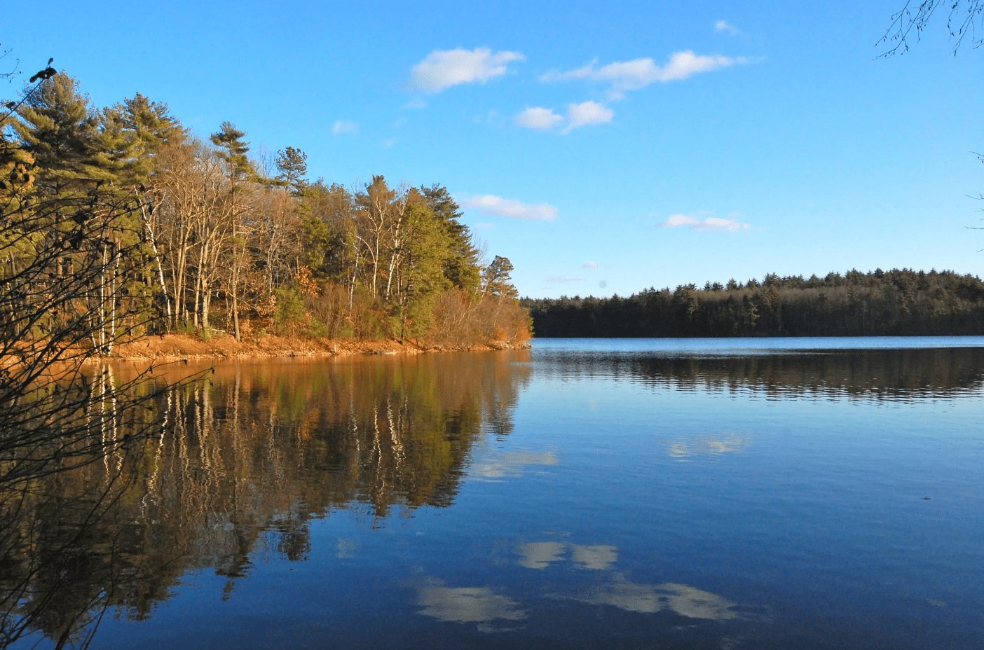 Walden Pond State Reservation