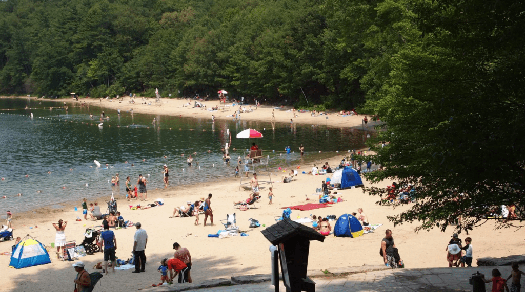 Walden Pond State Reservation
