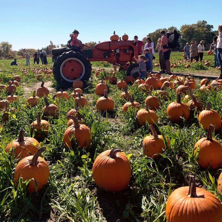 Vari Farm Visit Verrill Farm | Revolutionary Valley Regional Tourism Council