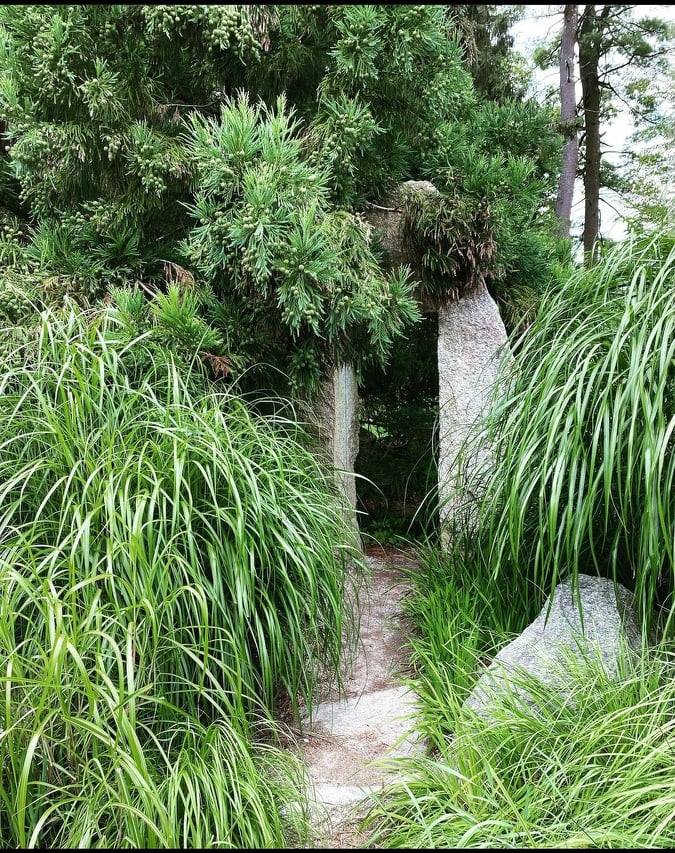 deCordova Sculpture Park & Museum