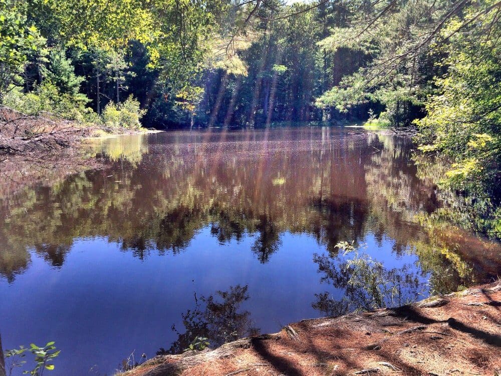Great Brook Farm State Park