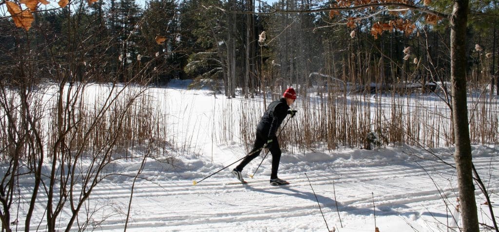 Great Brook Farm State Park