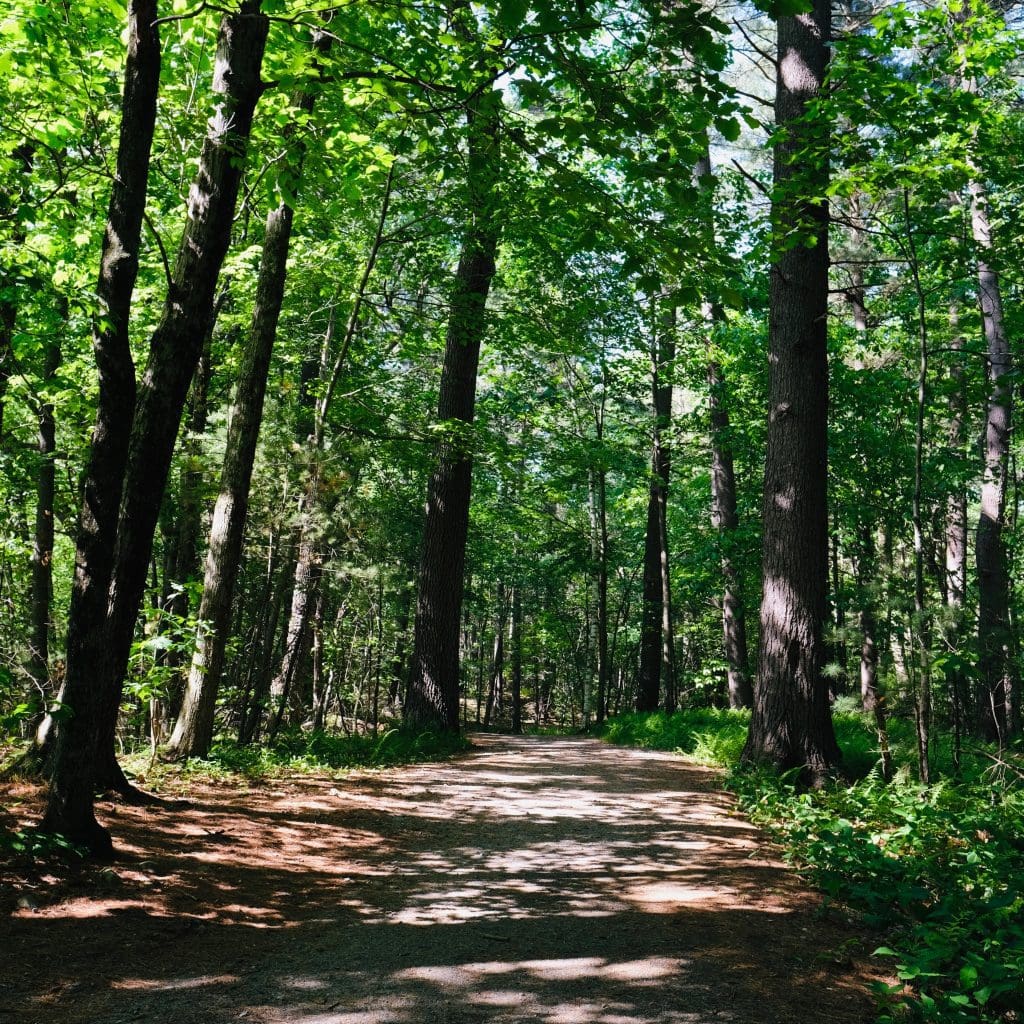 Great Brook Farm State Park