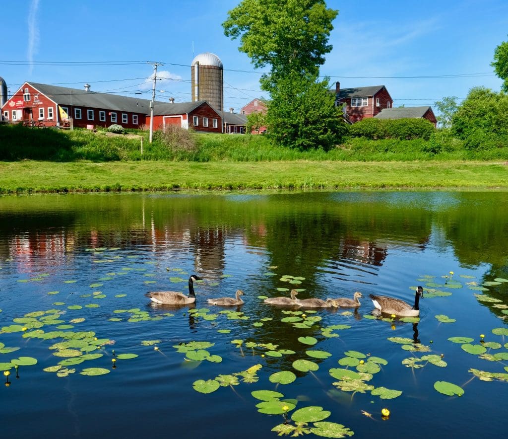 Great Brook Farm State Park