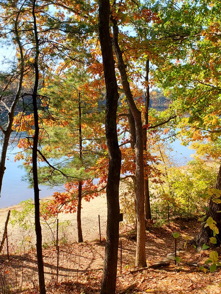 The Thoreau Society Shop at Walden Pond