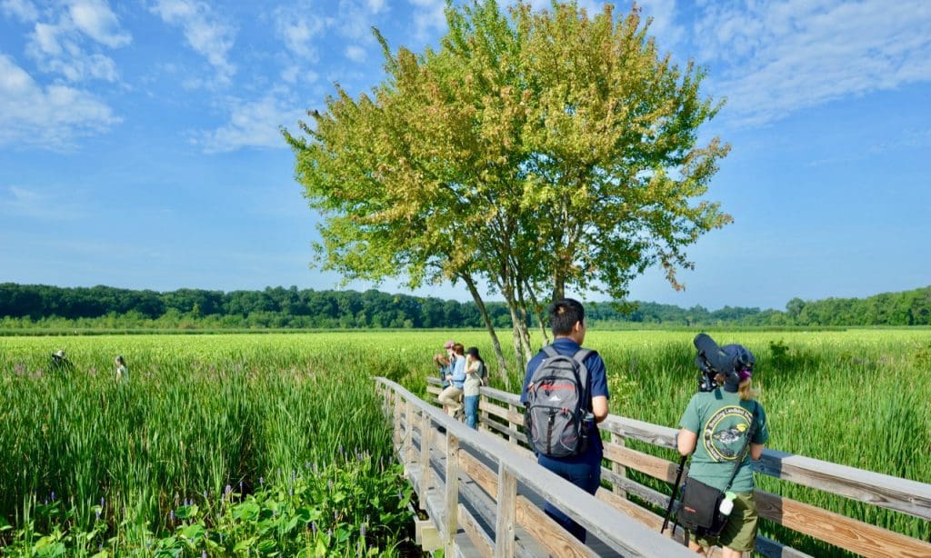 Great Meadows National Wildlife Refuge