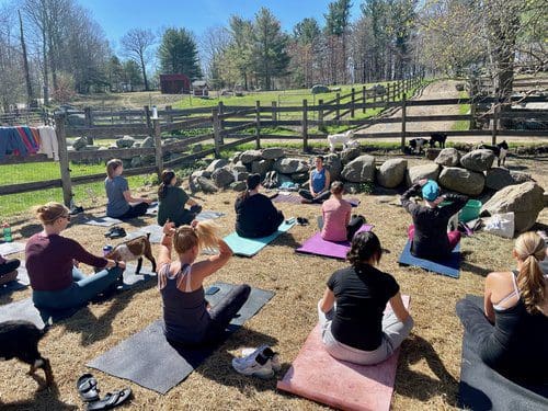 Goat Yoga at Good Pickin’ Farm