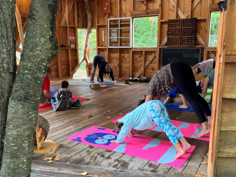 Backyard and Beyond: Treehouse Yoga at Discovery Museum