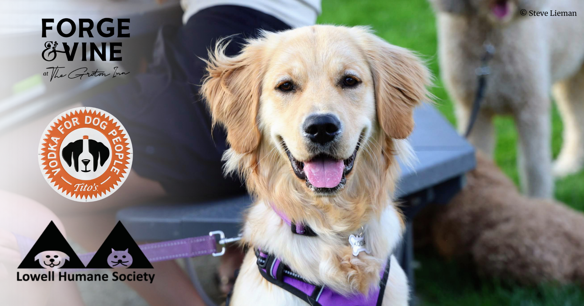Yappy Hour at Forge & Vine