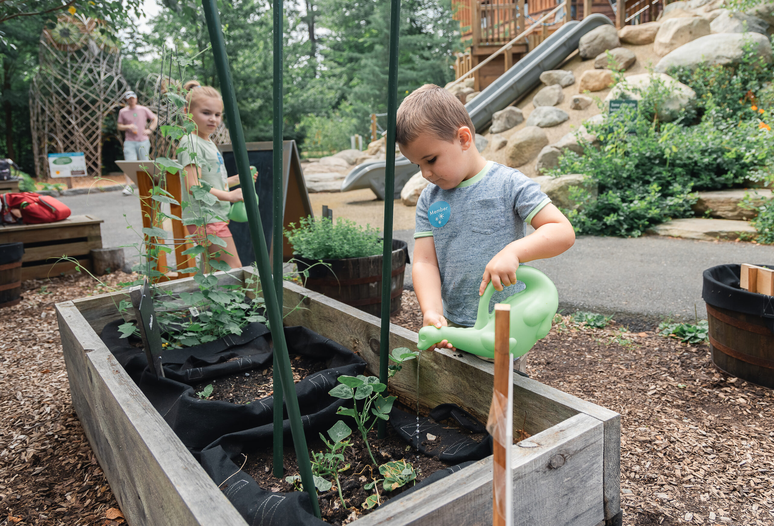 Backyard and Beyond: Working in the Garden at Discovery Museum