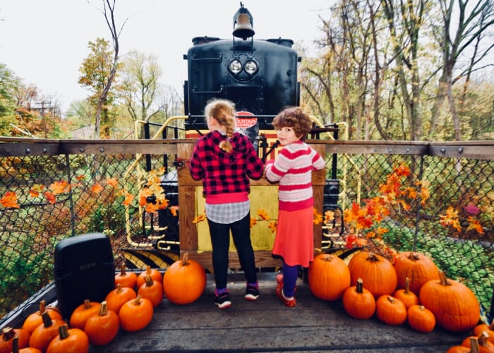 Catskill Mountain Railroad Pumpkin Express Trains