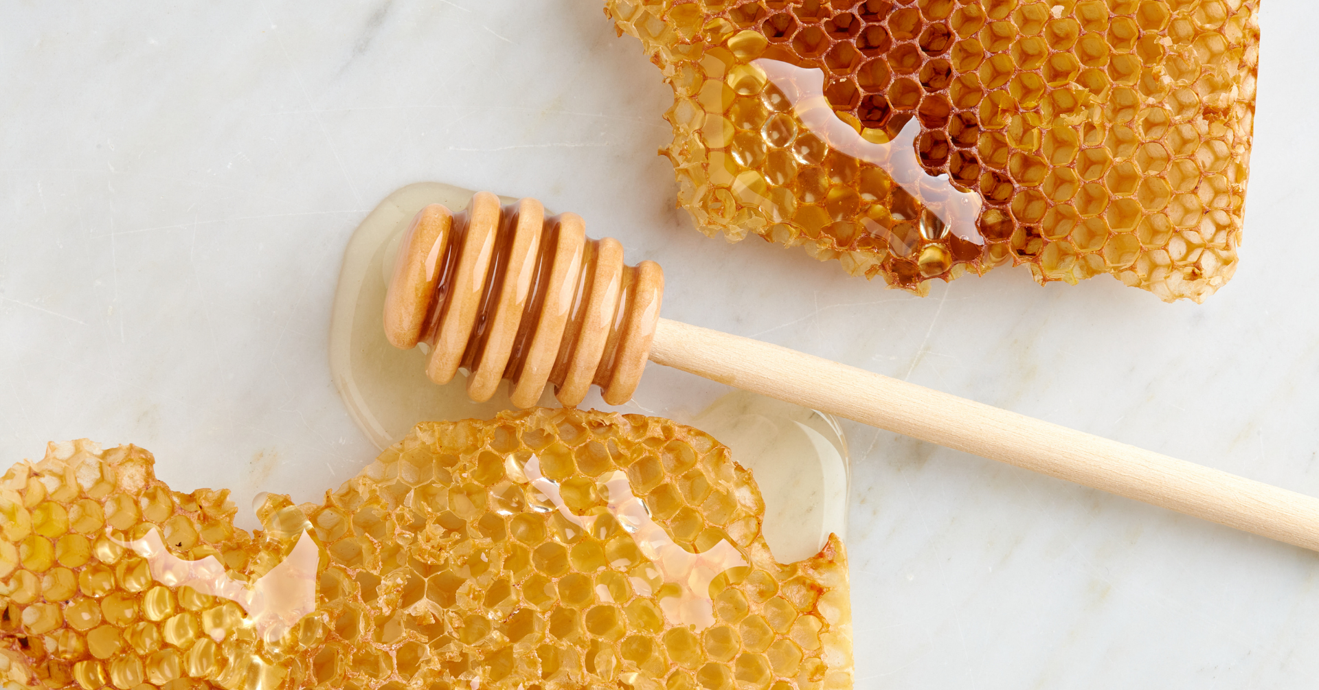 An Evening with The Colony: A Honey & Mead Experience