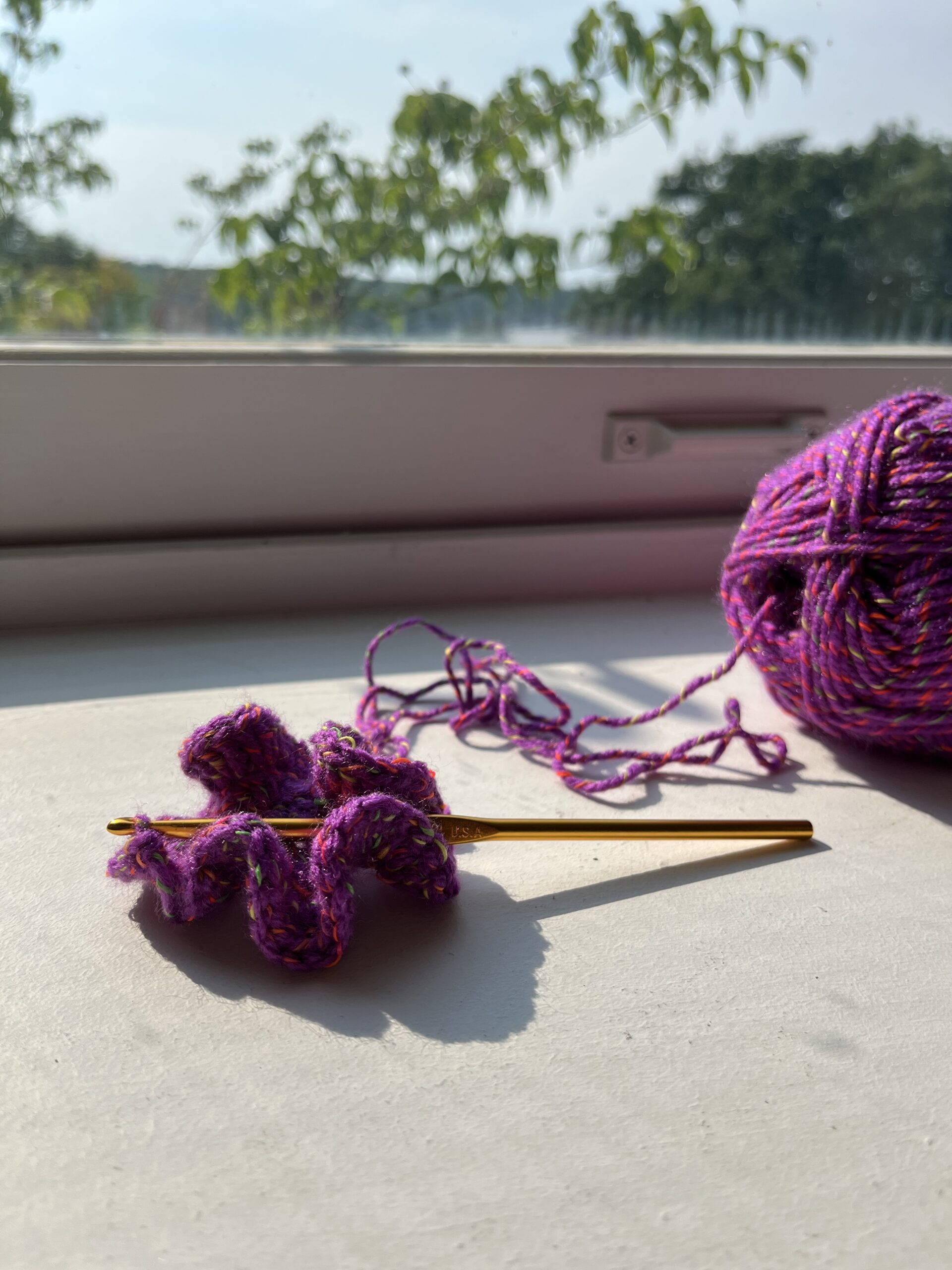 Sip and Stitch: Crocheted Coral Creations